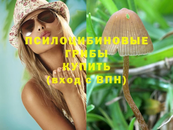 прущие крисы Краснослободск