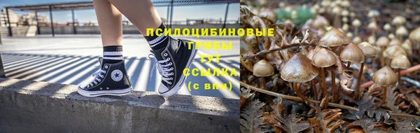 прущие крисы Краснослободск