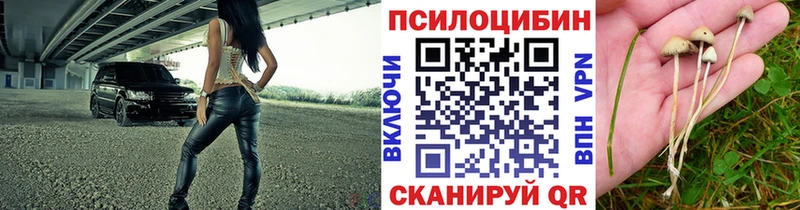 Купить закладки  Новая Усмань  Псилоцибиновые грибы GOLDEN TEACHER 